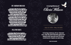 11 x 17 Bifold Brochure