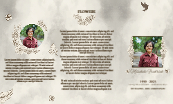 8.5 x 14 Tri Fold Brochure