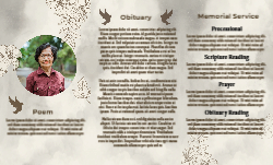 8.5 x 14 Tri Fold Brochure
