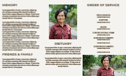 8.5 x 14 Tri Fold Brochure