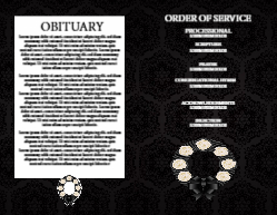 11 x 8.5 Half fold Brochure