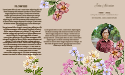8.5 x 14 Tri Fold Brochure