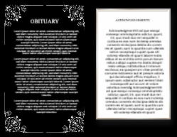 11 x 8.5 Half fold Brochure