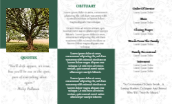 8.5 x 14 Tri Fold Brochure