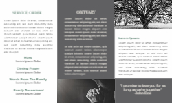 8.5 x 14 Tri Fold Brochure