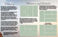 : 11 x 17 Tri Fold Brochure