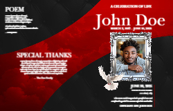11 x 17 Half fold Brochure
