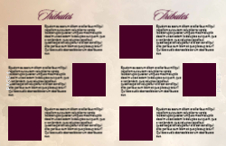 8.5 x 11 Booklet
