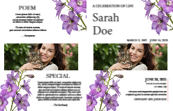 11 x 17 Half Fold Brochure
