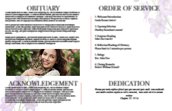 11 x 17 Half Fold Brochure